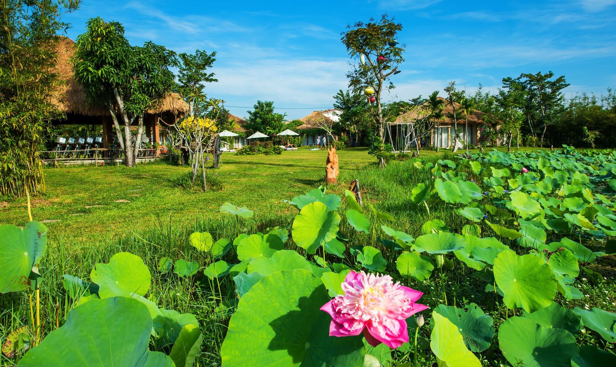 Allamanda Estate Hoi An Eksteriør bilde