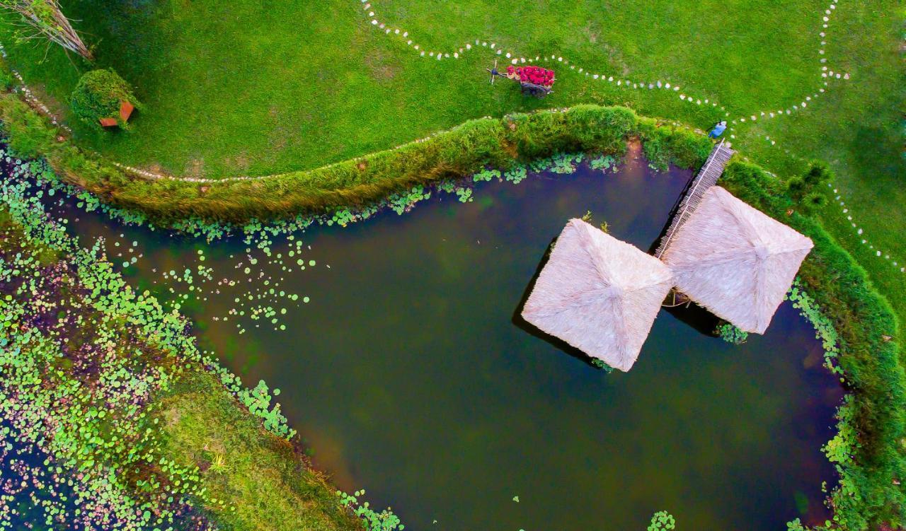 Allamanda Estate Hoi An Eksteriør bilde